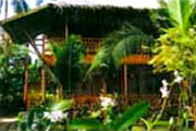 Hotelview: The Orchids Boracay
