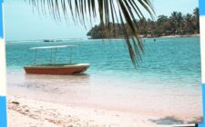 Beach Resorts 44