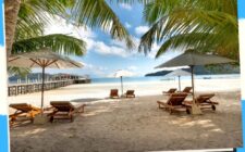 Eco-friendly Resorts 11