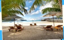Eco-friendly Resorts 12