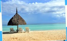Eco-friendly Resorts 32