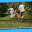 Family-Friendly Resorts 08