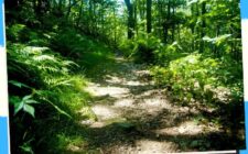 Hiking Trails in the Philippines