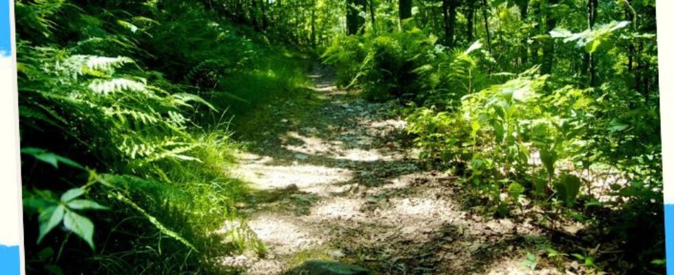 Hiking Trails in the Philippines