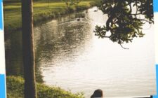 Lake Resorts 21