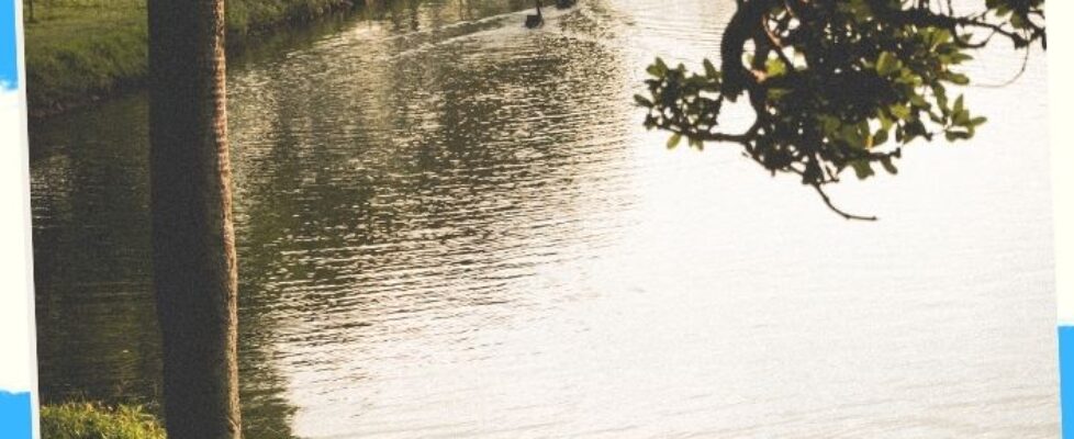 Lake Resorts 21